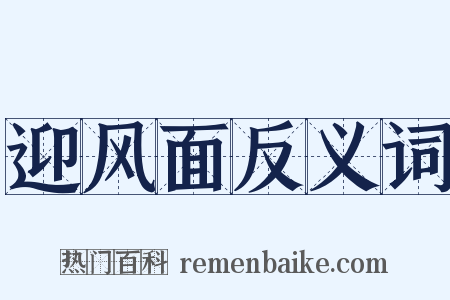 迎风面反义词是什么意思的图片